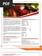 Download ficha rambutan by pascacio0 SN36946737 doc pdf