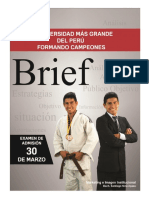 Brief Uap 30 de Marzo