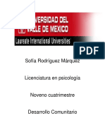 Desarrollo comunitario mapaaaaa