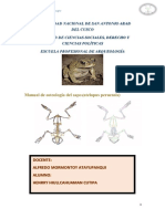 Manual de Sapo Taller PDF