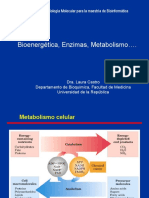 Bio Energetic A Enzimas Metab LC