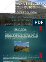 Flora y Fauna - Cerro Picol