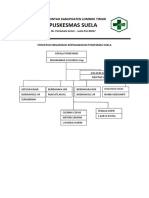 Struktur Organisasi Per Program