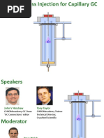 Gas Chromatography Injection Techniques | PDF | Gas Chromatography ...