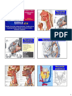 025_Patología tiroidea.pdf