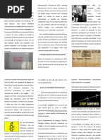 Os Direitos Humanos - Organizações AI - II.pdf