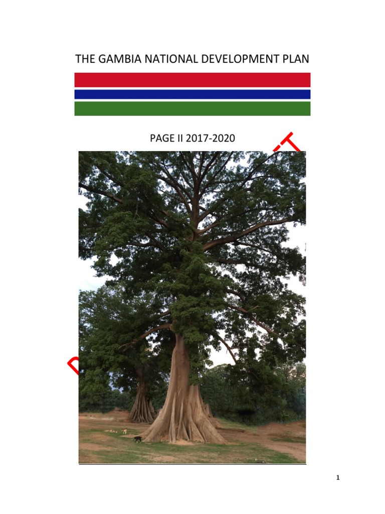 National Development Plan - 2017-2020 The Gambia | PDF | Economic ...