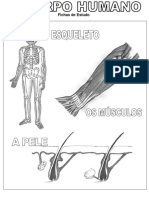 74498265-Fichas-Estudo-CorpoHumano.pdf