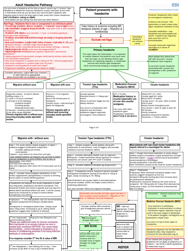 Adult Headache Guideline | PDF | Headache | Migraine