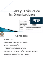 4 Estructura Y Dinámica Organizacional (Grupo 1)