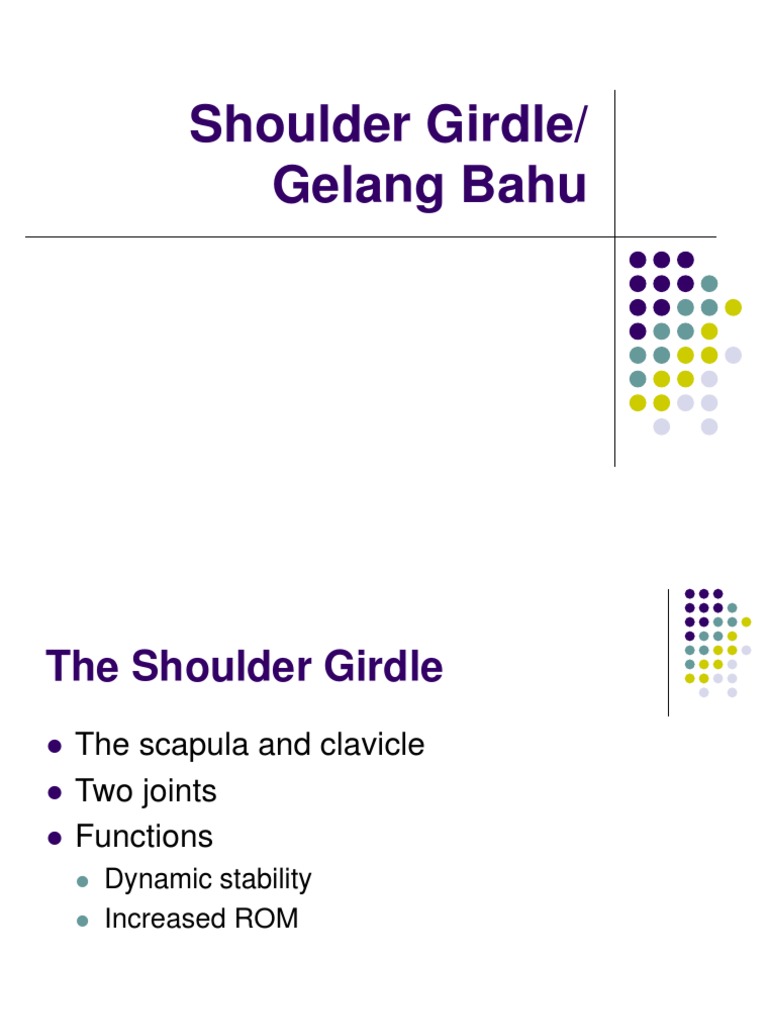 Shoulder Girdle | PDF | Shoulder | Anatomical Terms Of Motion