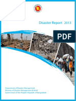 Disaster Report 2013.pdf