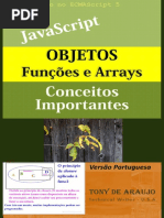 JavaScript, Objetos Arrays e Funções_ Conceitos Importantes