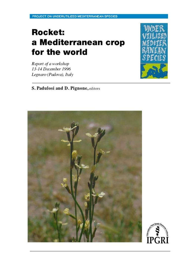 Rucula A Mediterranean Crop For The World Eruca Sativa Plants