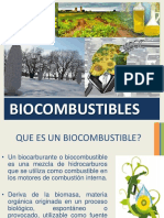 Bio Combustibles