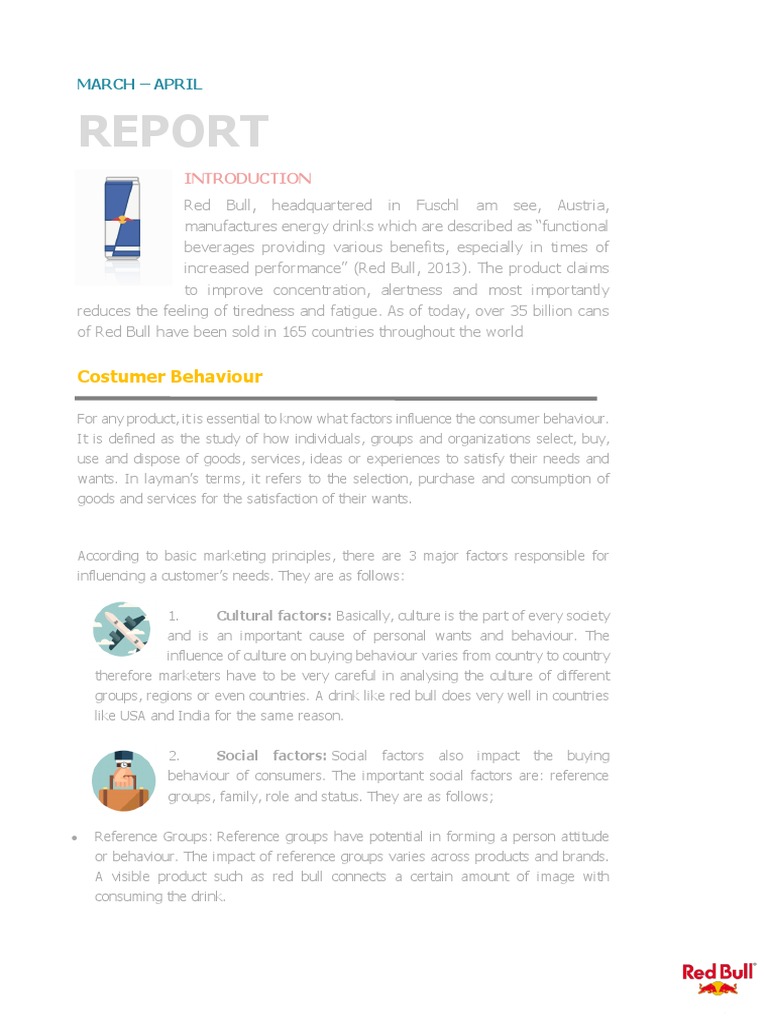 Red Bull Consumer Behavior Insights | PDF | Consumer Behaviour | Behavior