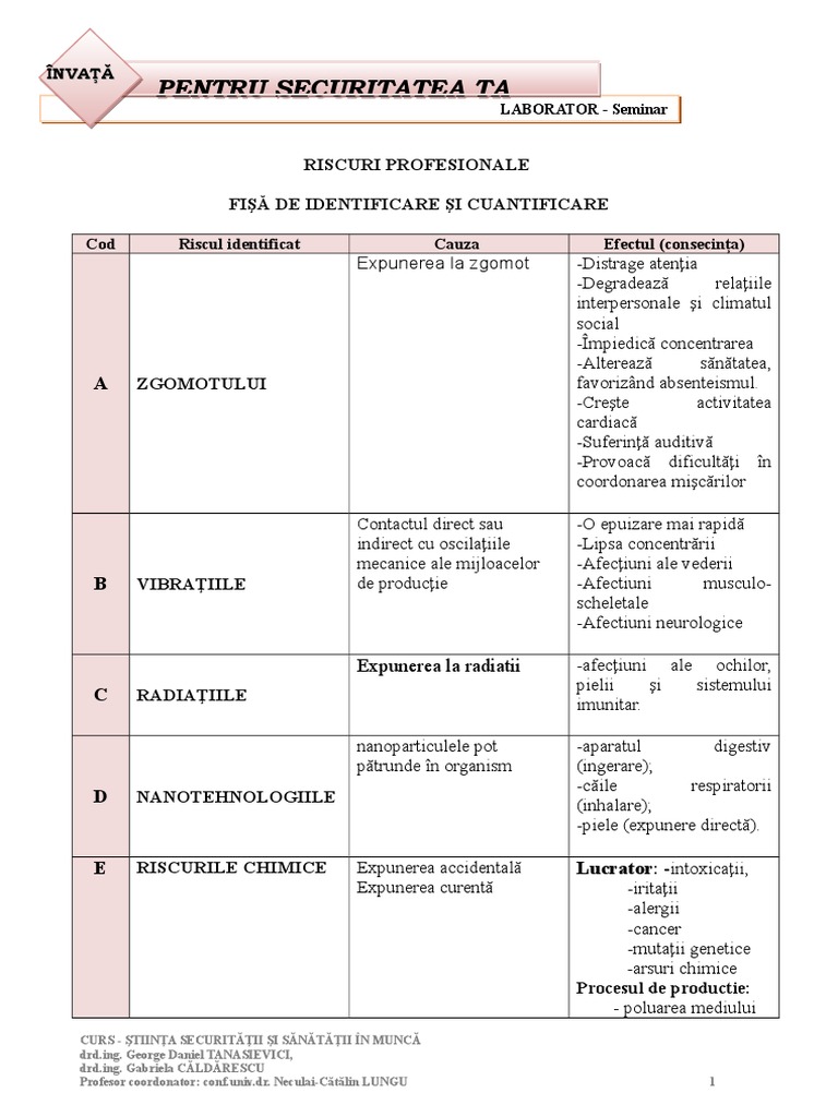 Rezolvare Fisa de Lucru 1 - Riscuri 1 | PDF