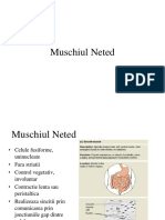 s1c4 muschiul neted 2016.pdf