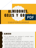 Almidones - Gomas - Geles PDF