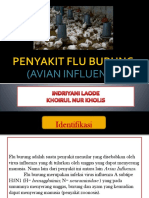 Penyakit Flu Burung