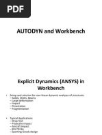AUTODYN and Workbench