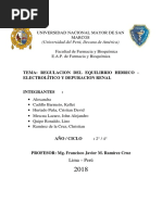 Regulacion Del Equilibrio Hídrico y Electrolítico. Depuración Renal