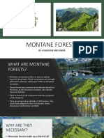 Montane Forests: By-Jaskaran and Kabir