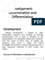06-Determination and Differentiation