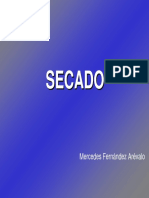 secado apuntes.pdf