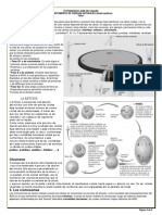 Taller Sobre La Mitosis y Meiosis