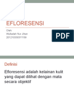 Efloresensi