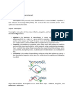 Overview of Information Flow in The Cell Transcription