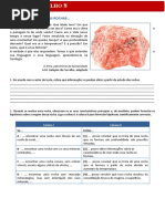 Cn7 Ficha Trabalho 8