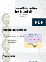 Overview of Information Flow in The Cell