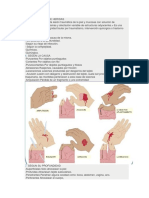 Clasificacion de Las Heridas Explicadas