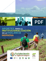Institucionalización y Vigilancia Indígena