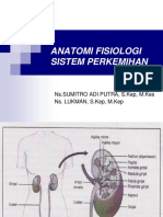 169032942 Anatomi Fisiologi Sistem Perkemihan Ppt