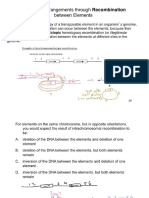 Handout Answers PDF