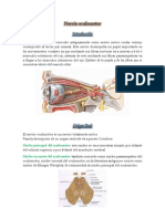 Nervio Oculomotor