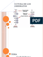 Carbohidratos