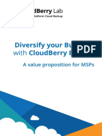 Diversify Your Business With CloudBerry Backup