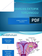 JUMRIA PRESENTASI.pptx