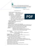 Fisa Postului Analist Programator PDF