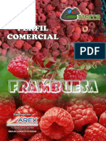 PERFIL-COMERCIAL-FRAMBUESA.pdf