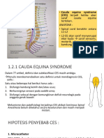 Cauda Equina Syndrom