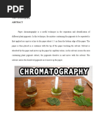 Lab 6 Plant Physiology