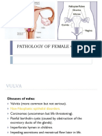 Tumor of Female Genital System