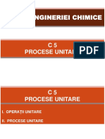 BIC - C5 - Procese Unitare