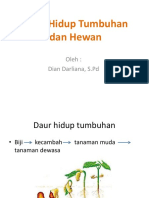 Daur Hidup Tumbuhan Dan Hewan