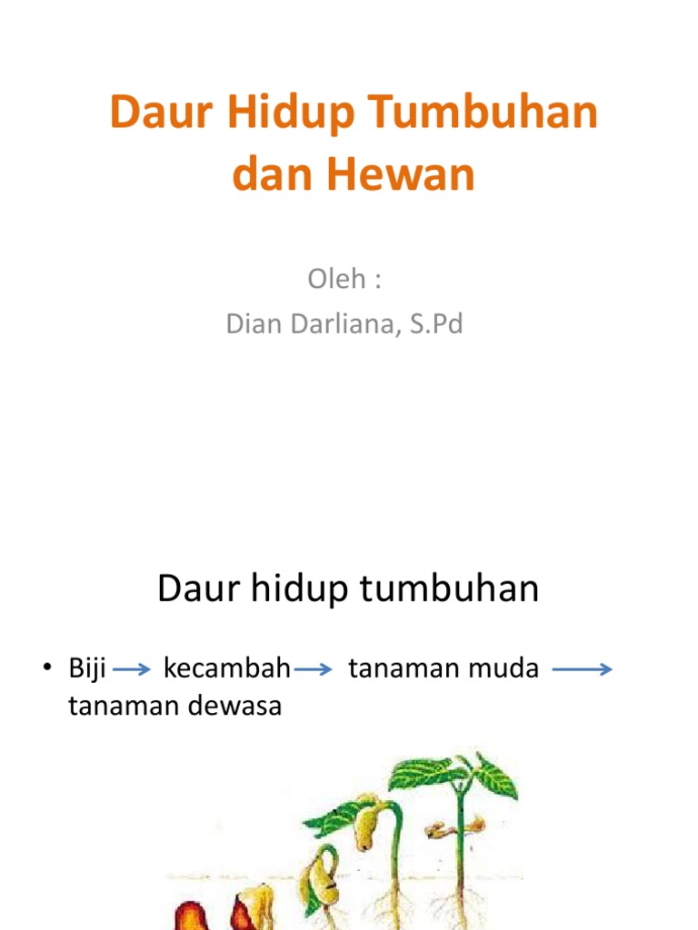 Daur Hidup Tumbuhan Dan Hewan Pdf